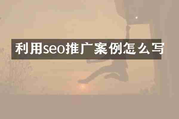 利用seo推广案例怎么写