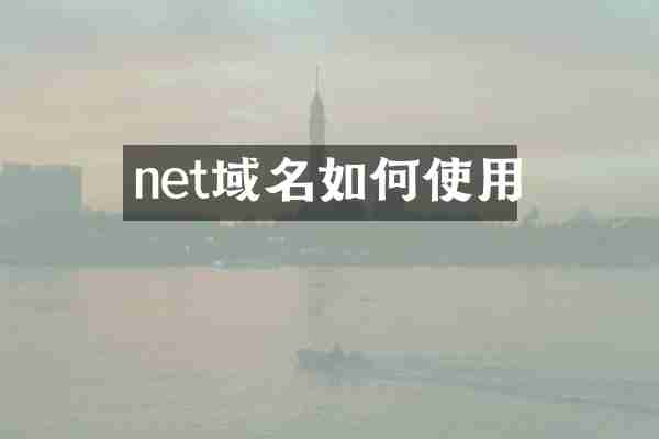 net域名如何使用