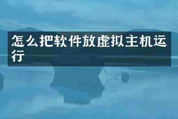 怎么把软件放虚拟主机运行