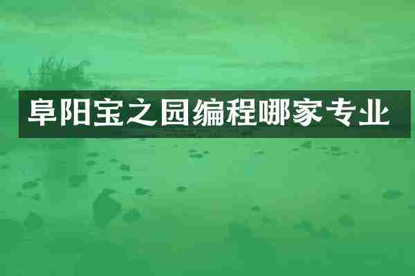 阜阳宝之园编程哪家专业