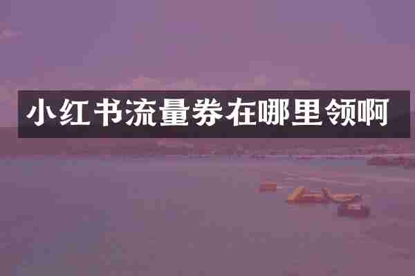 小红书流量券在哪里领啊
