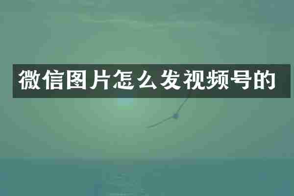 微信图片怎么发视频号的