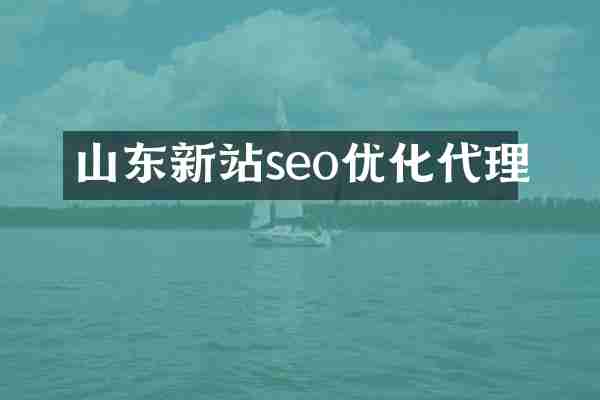 山东新站seo优化代理