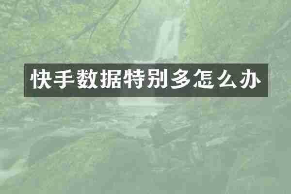 快手数据特别多怎么办
