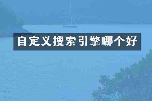自定义搜索引擎哪个好