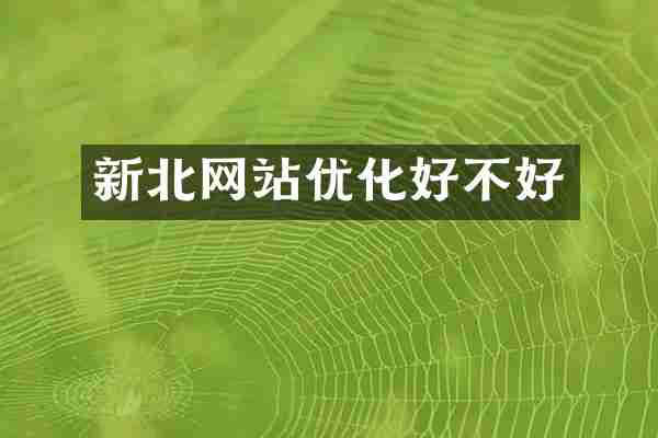 新北网站优化好不好