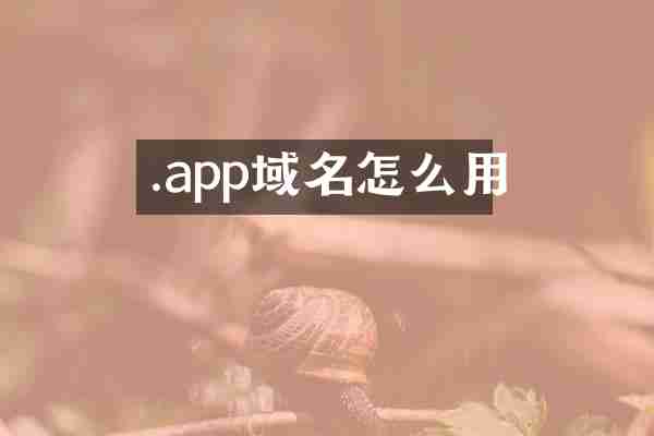 .app域名怎么用