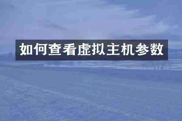 如何查看虚拟主机参数