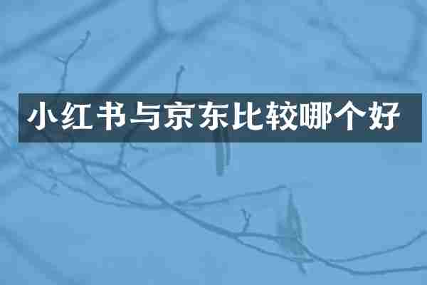 小红书与京东比较哪个好
