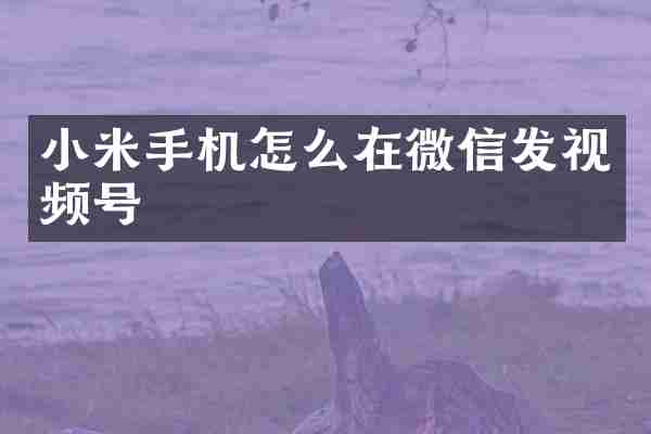 小米手机怎么在微信发视频号