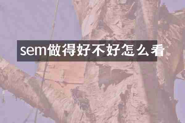 sem做得好不好怎么看