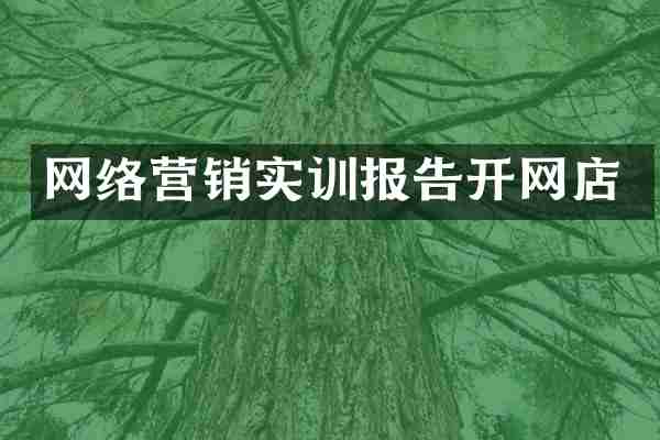 网络营销实训报告开网店