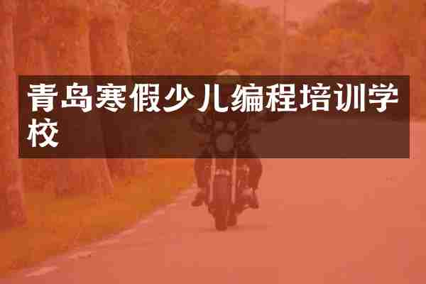 青岛寒假少儿编程培训学校