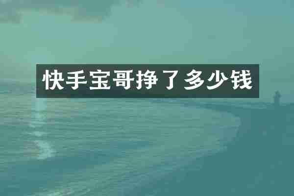 快手宝哥挣了多少钱