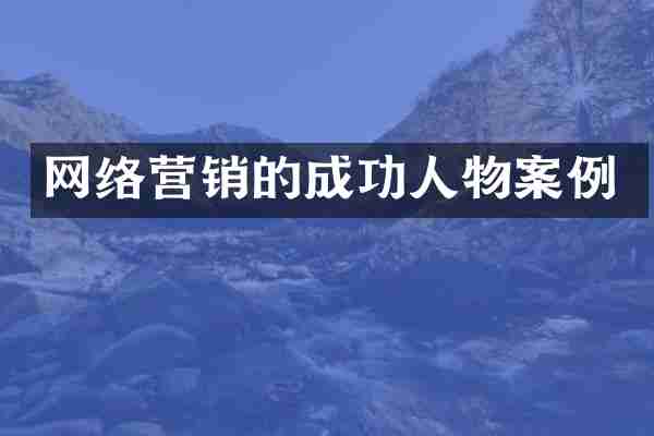 网络营销的成功人物案例