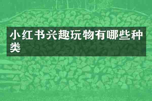 小红书兴趣玩物有哪些种类