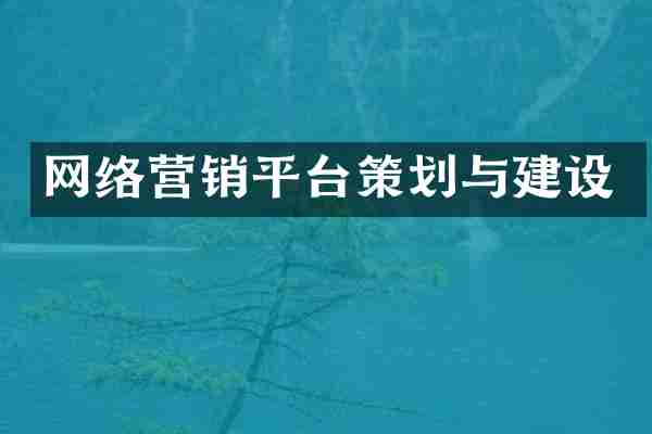 网络营销平台策划与建设