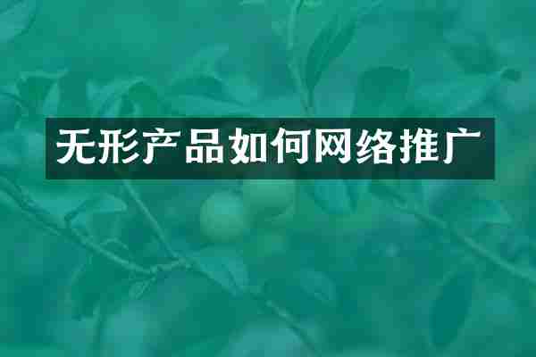 无形产品如何网络推广