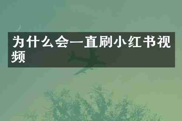 为什么会一直刷小红书视频