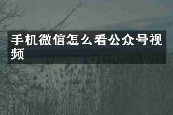 手机微信怎么看公众号视频