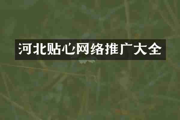 河北贴心网络推广大全