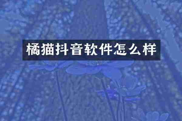 橘猫抖音软件怎么样