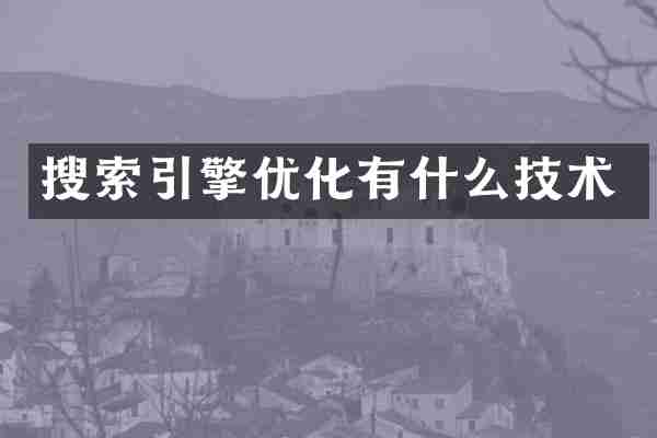 搜索引擎优化有什么技术