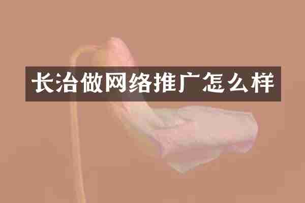 长治做网络推广怎么样