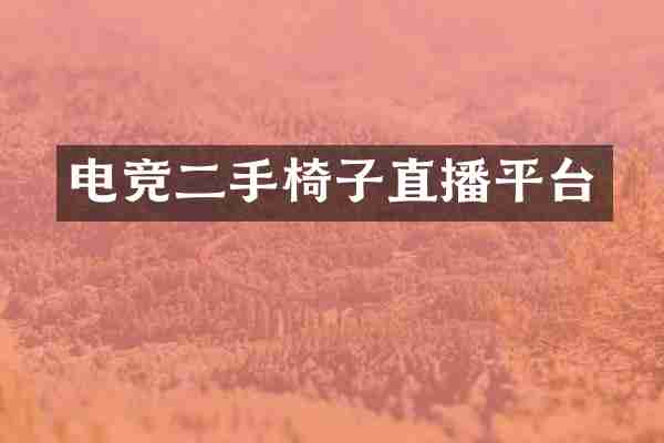电竞二手椅子直播平台