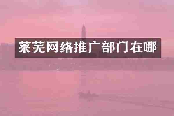 莱芜网络推广部门在哪