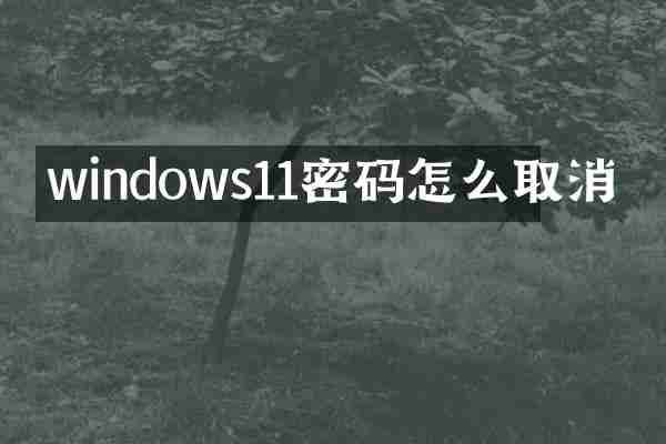 windows11密码怎么取消
