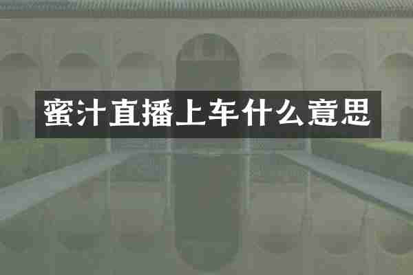 蜜汁直播上车什么意思