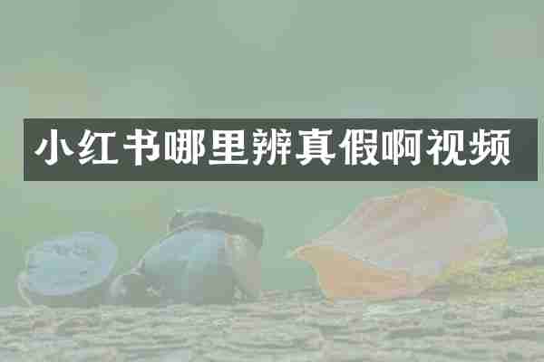 小红书哪里辨真假啊视频