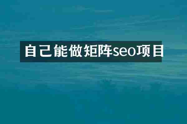 自己能做矩阵seo项目