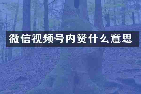 微信视频号内赞什么意思