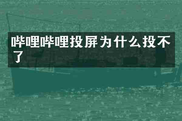 哔哩哔哩投屏为什么投不了