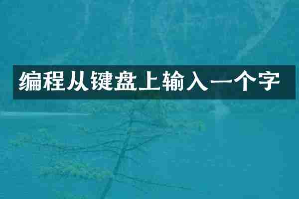 编程从键盘上输入一个字