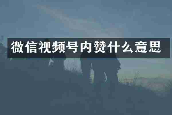 微信视频号内赞什么意思