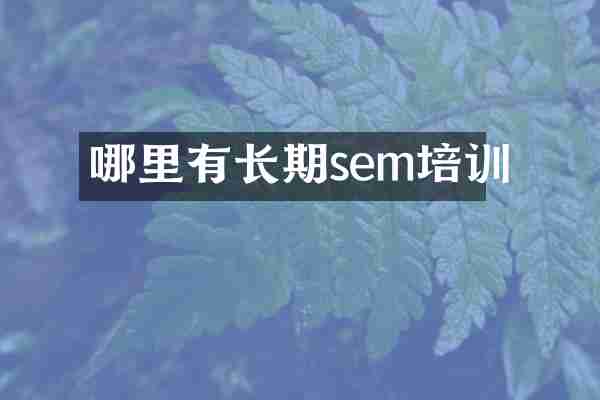 哪里有长期sem培训