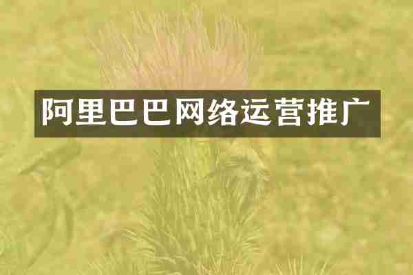 阿里巴巴网络运营推广