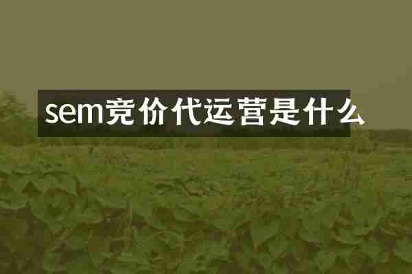 sem竞价代运营是什么
