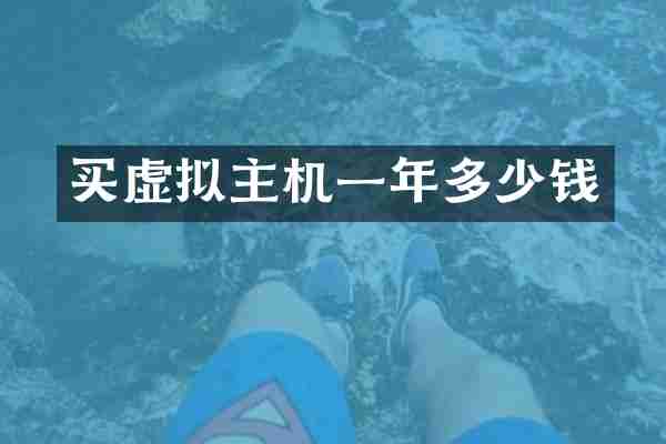 买虚拟主机一年多少钱