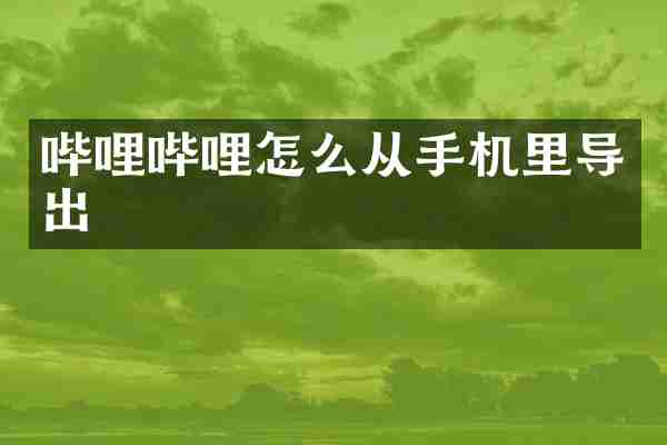 哔哩哔哩怎么从手机里导出
