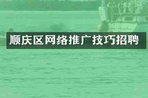 顺庆区网络推广技巧招聘