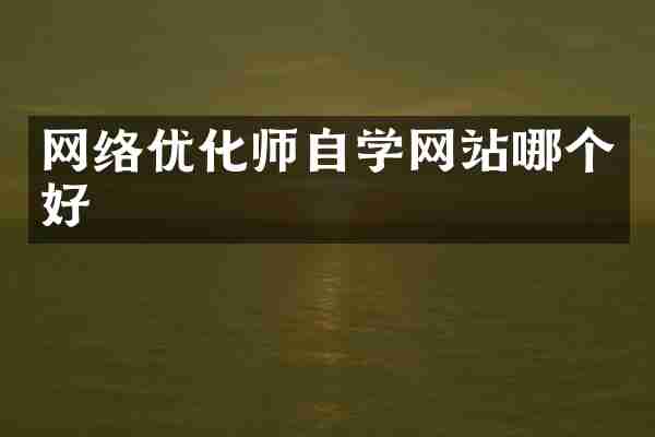 网络优化师自学网站哪个好