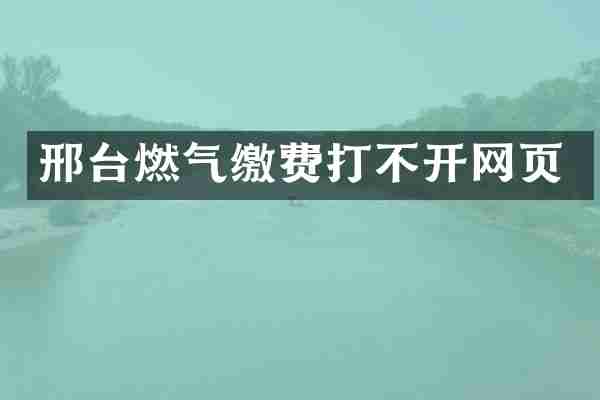 邢台燃气缴费打不开网页