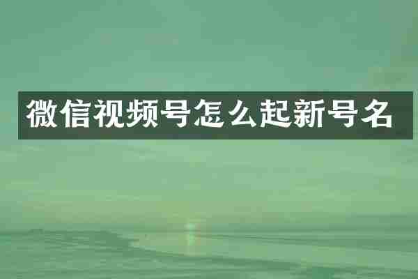 微信视频号怎么起新号名