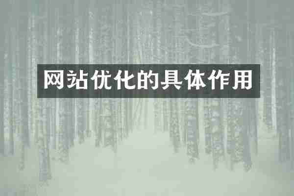 网站优化的具体作用