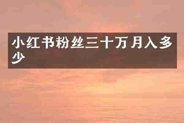 小红书粉丝三十万月入多少