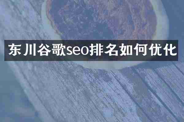 东川谷歌seo排名如何优化